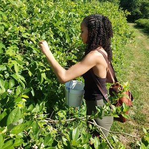 Meet your Posher, Brittney